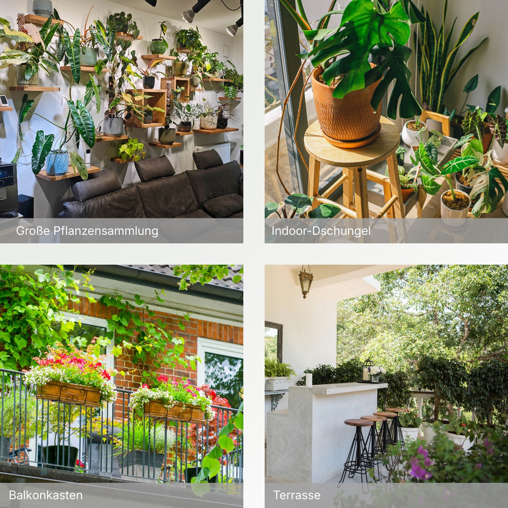 FYTA Jungle Set, Pflanzensensor-System für Sammlungen | Smart Home