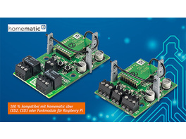 Homematic IP Schaltplatine 2fach - Universeller 2-Kanal-Aktor für Kleinspannung