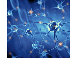 Künstliche Intelligenz und neuromorphe Chips - Wo steht die Technik - wie sieht die Zukunft aus?