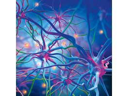 KI-Praxis II - Neuronale Netze - Aufbau und Training