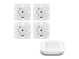 Homematic IP Smart Home Set Beschattung Access Point 2, 4 Rollladenaktoren für Markenschalter